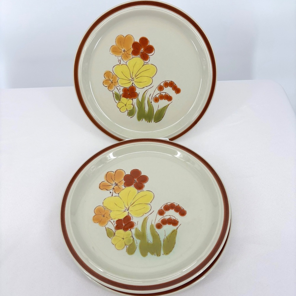 Newcor Mioko Chalet 101 Stoneware Dinner Plates Set of 5 Japan